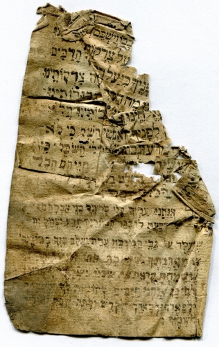 Siddur print (with handwritten additions) (Nizi_Ms_48)