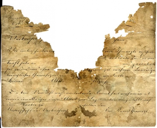 Note of health from district Tierarzt (Nizi_Ges_3)