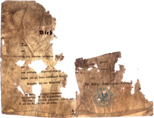 Veterinary certification for a cattle sale (Nizi_Ges_4)